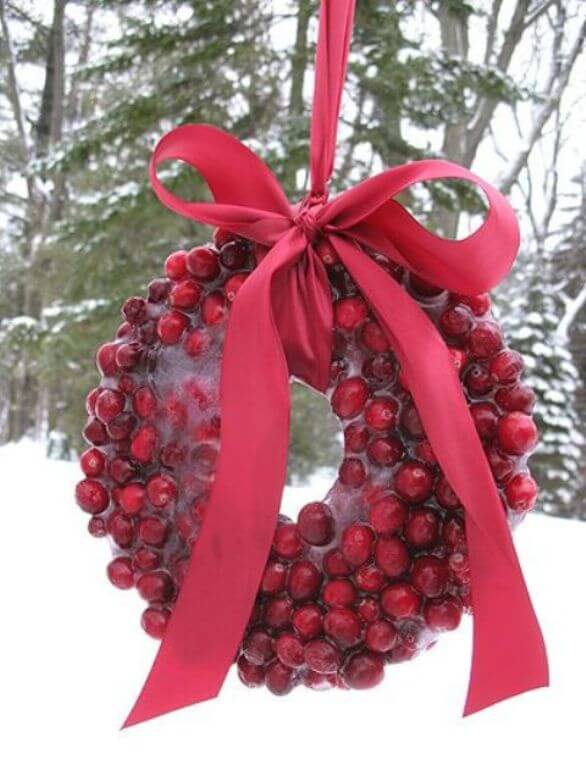 Frozen Cranberry Christmas wreath