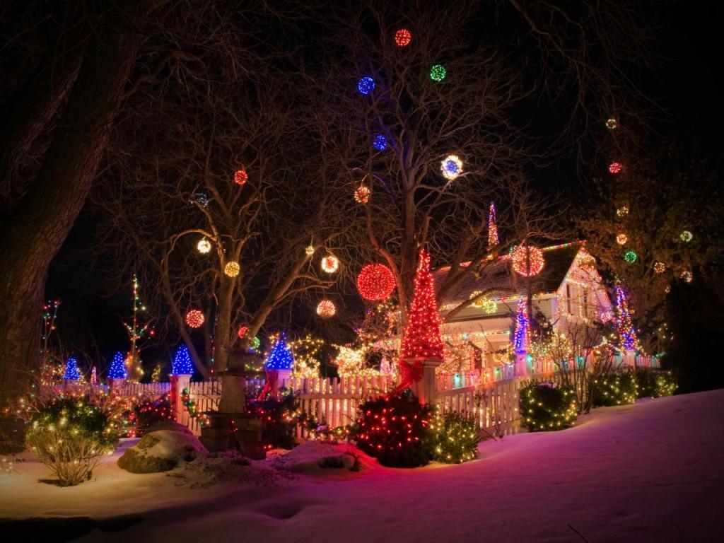 Front Yard Christmas Lights Decor