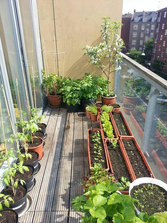 pots and planters for balcony garden