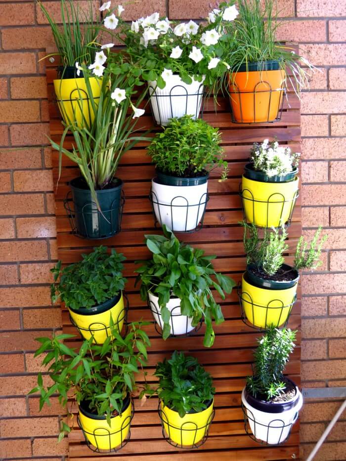 colorful vertical garden with houseplants