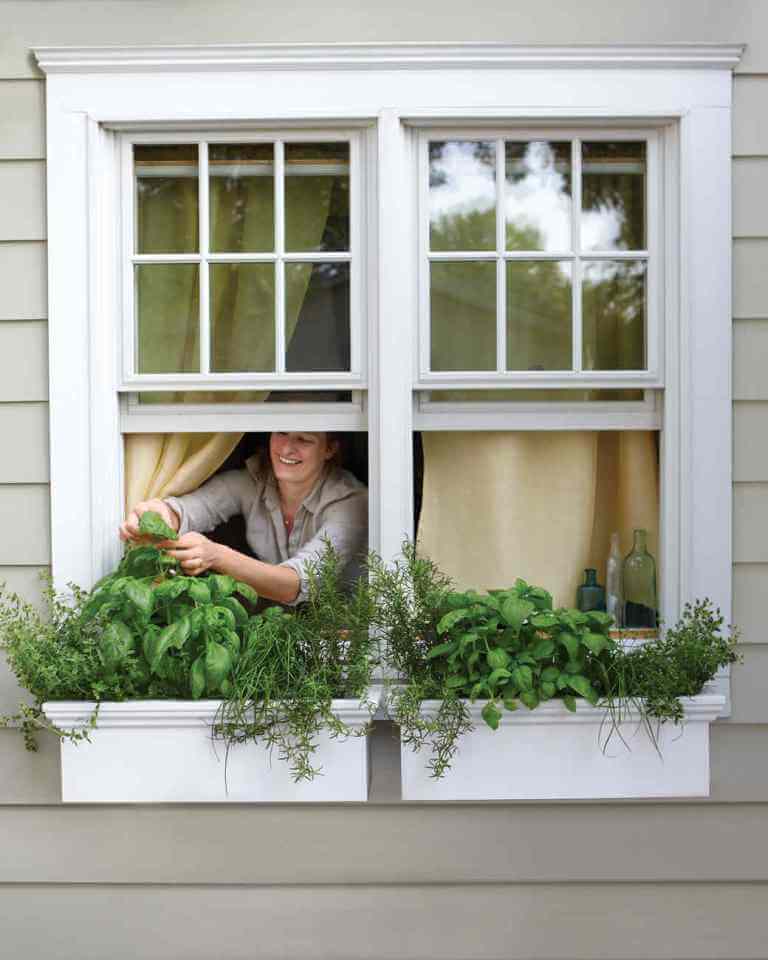 window planters shelf decoration