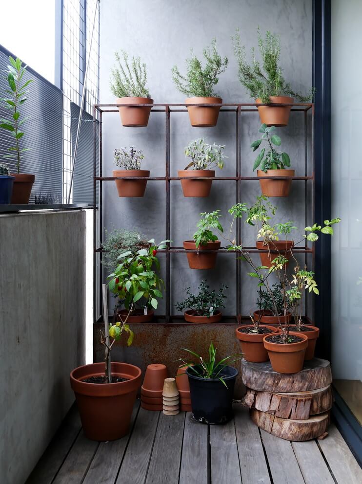 industrial shelf vertical garden