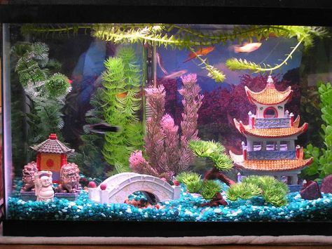 How to Build Aquarium Decoration Themes: Cool Dragon Chinese .