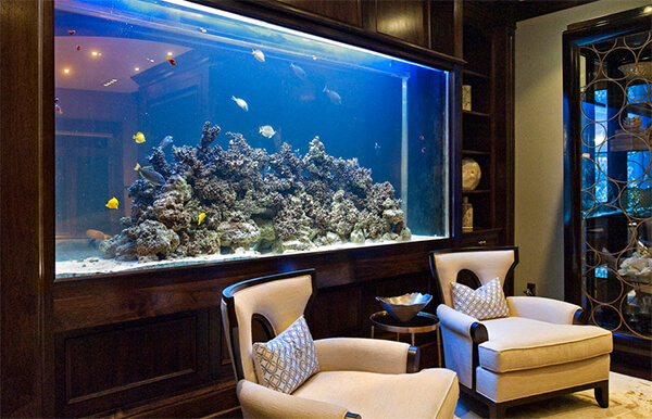 The Absolute Best Aquarium Decorations for Every Holiday .