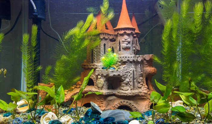 10 Best Aquarium Decorations Reviewed and Rated in 20