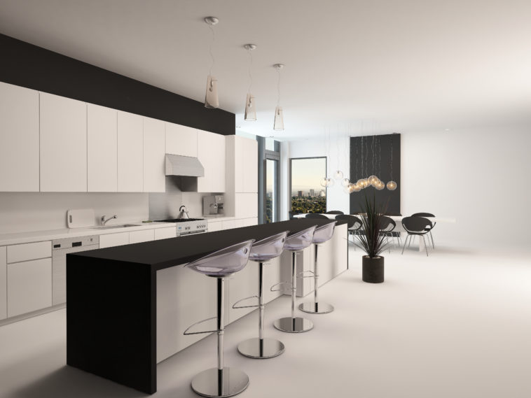 Ultra Modern Black And White Kitchen Designs - Kitchen and Ba
