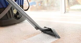 5 Reasons Why Steam Cleaning is Bad for Your Carpet - Angela Sa