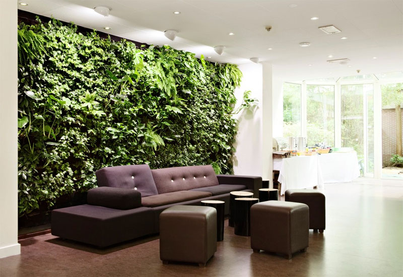 Ways of Decorating Your Interior with Green Plants | Home Design Lov
