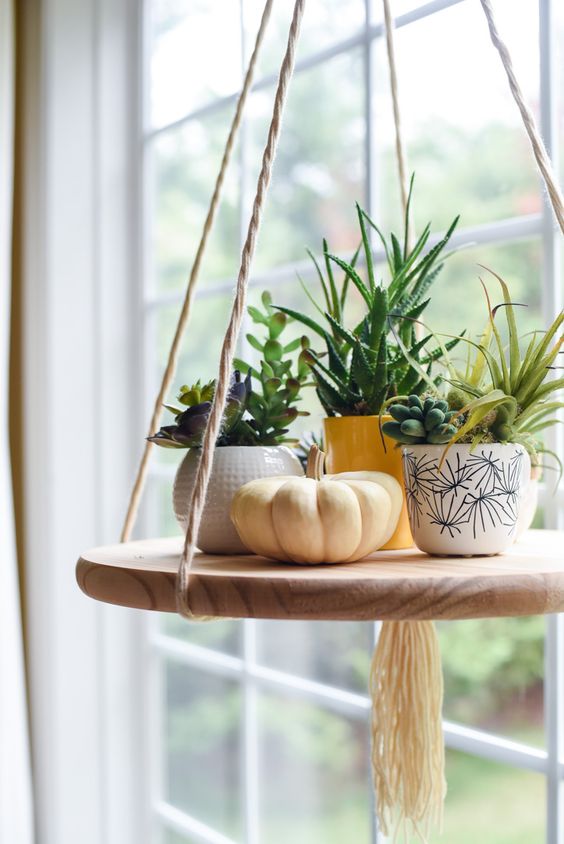 30+ Indoor Decorative Plants To Bring Freshne