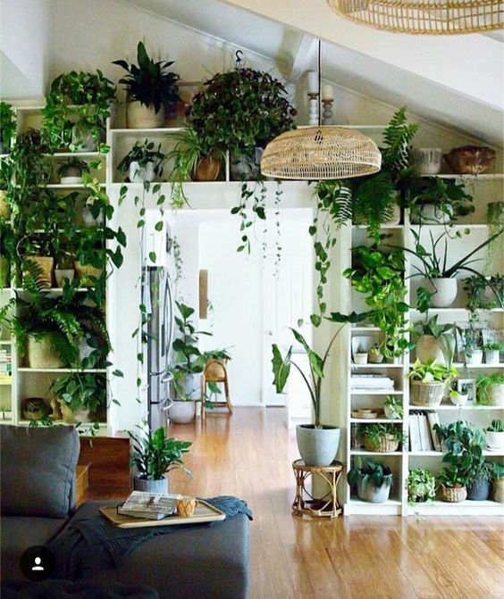 60+ Plant Stand Design Ideas for Indoor Houseplants | Decor, Room .