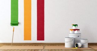 Wall Color Ideas – Create a colorful wall decoration | Interior .