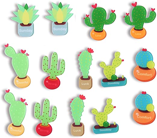 Amazon.com: Cactus Magnets Cute Refrigerator Magnet Fridge Magnet .
