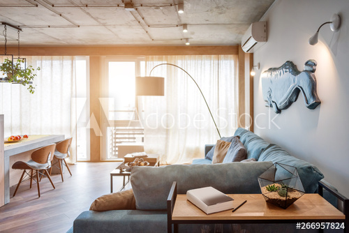 Minimalist modern living room with sofa in loft style flat. Modern .