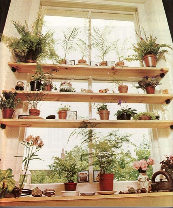 plant shelves in window - I need to do this I have so many plants .