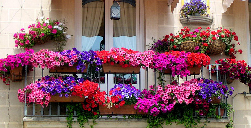 50 Best Balcony Garden Ideas and Designs for 20
