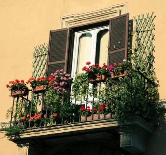 Beautiful Balcony and Terrace Decoration Ideas | Balcony flowers .