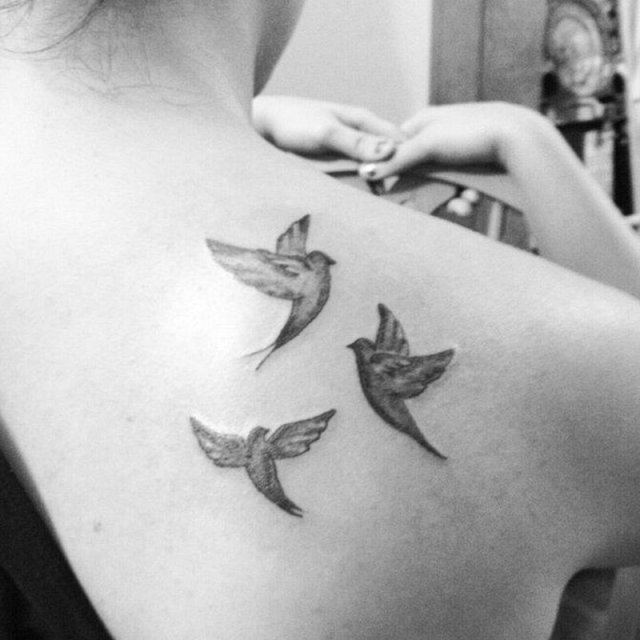 three flying pigeons small upper back